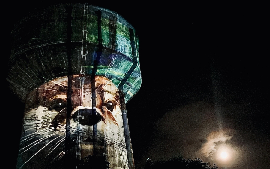 Nuestra Copa de Agua se vistió de artes y luces del territorio Visual